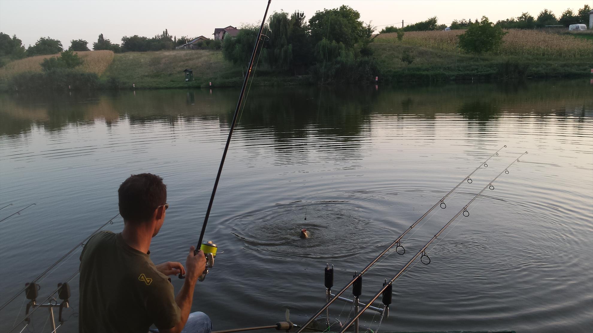 Moara Vlasiei 2 28 - 29 august 2015 - 201508281944551.jpg